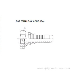 BSP Female 60° Cone Seal 22611